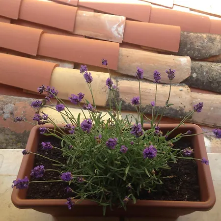 Vakantiehuis Gerani House Cefalù