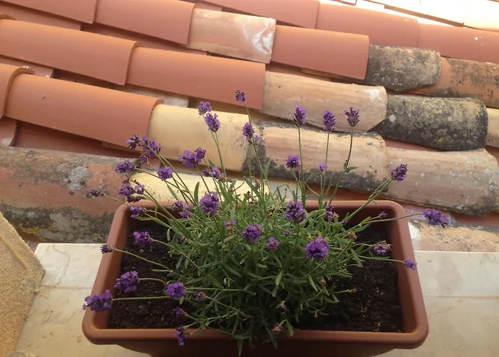 펜션 Gerani House 체팔루